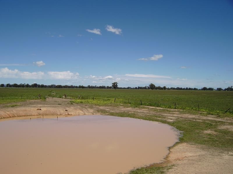 Wangaratta VIC 3677