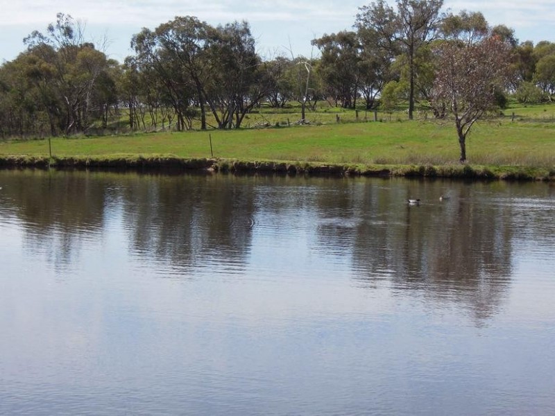 Wangaratta VIC 3677
