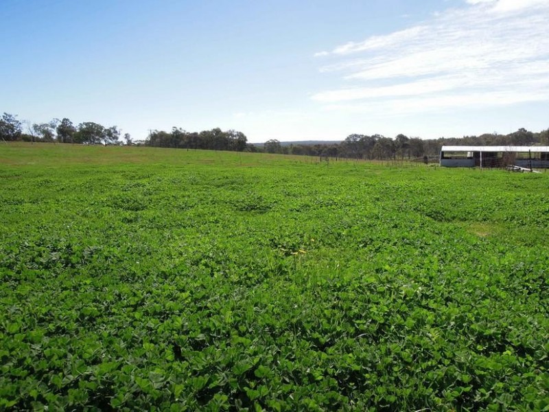 Wangaratta VIC 3677