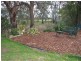 Wangaratta VIC 3677