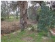 Wangaratta VIC 3677