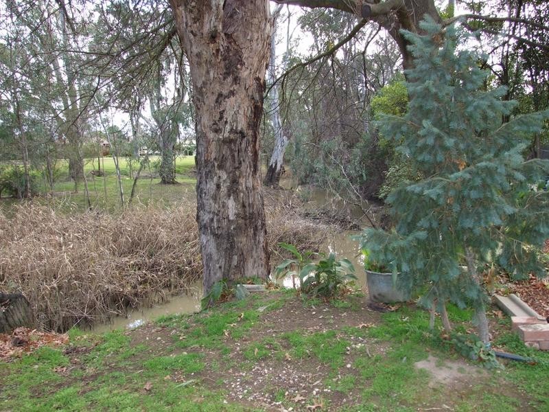 Wangaratta VIC 3677