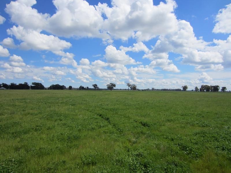 Yarrawonga VIC 3730