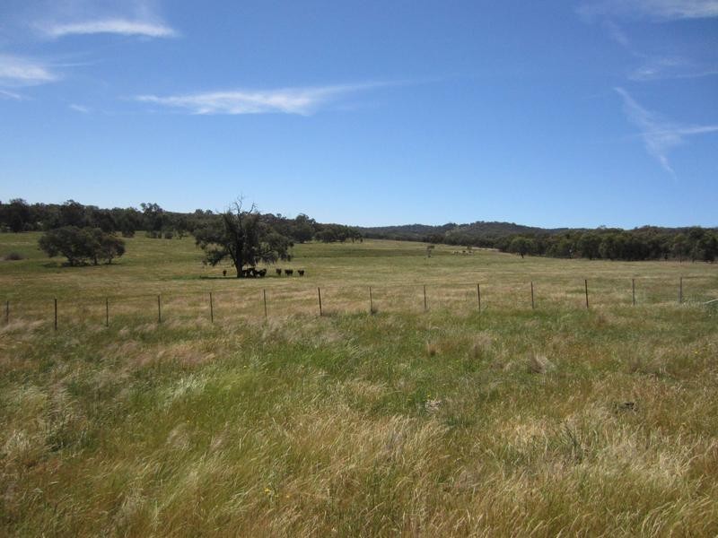 Tarrawingee VIC 3678