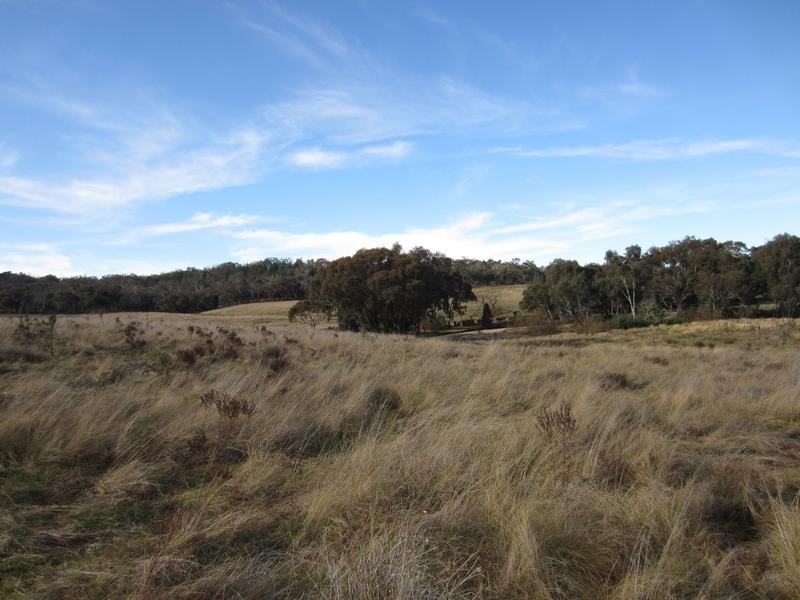 Tarrawingee VIC 3678