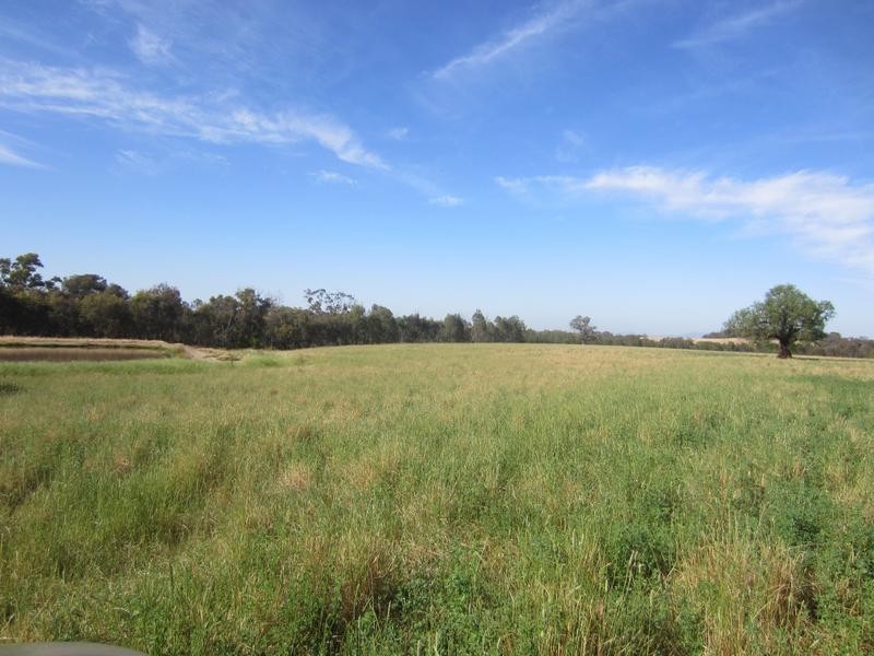 Wangaratta VIC 3677