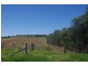 Wangaratta VIC 3677