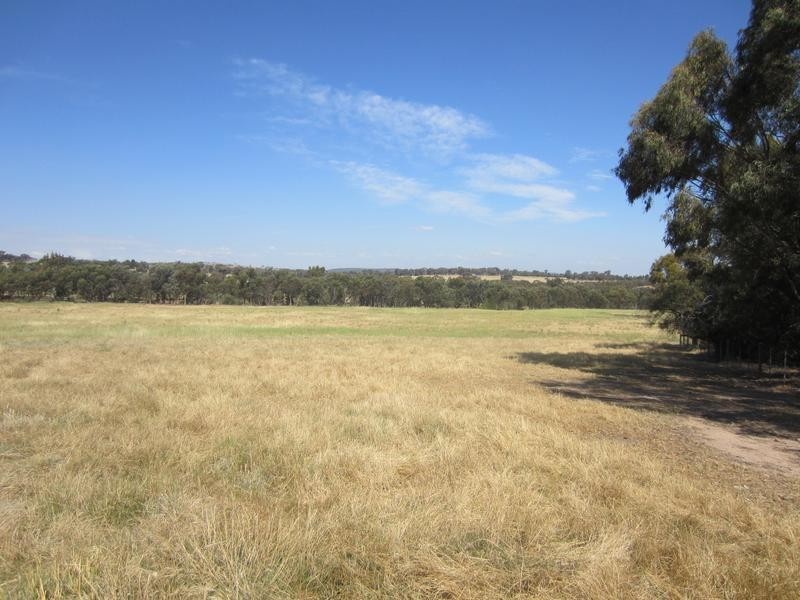 Wangaratta VIC 3677