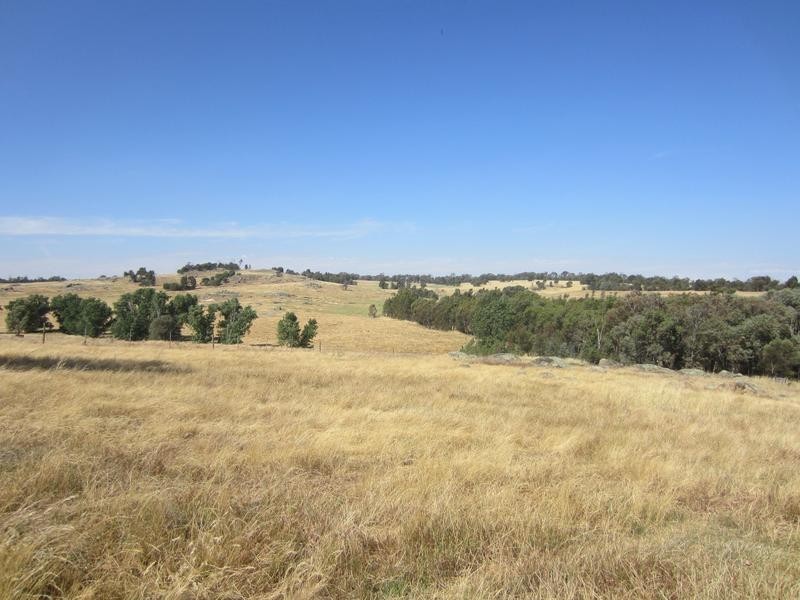 Wangaratta VIC 3677