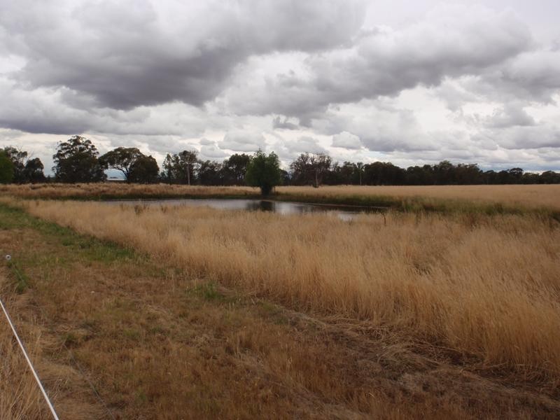 Wangaratta South VIC 3678