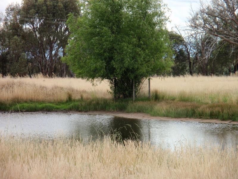 Wangaratta South VIC 3678