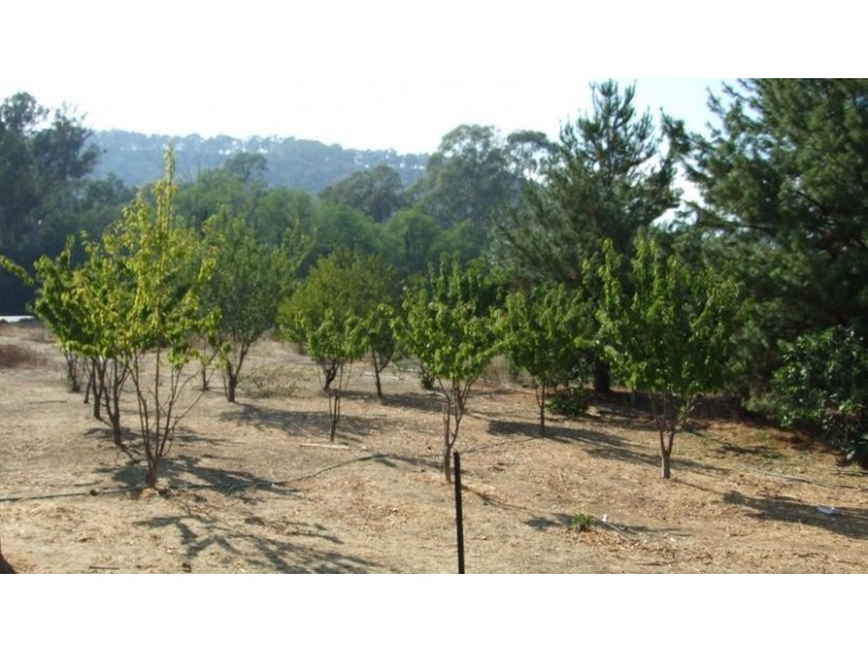 King Valley VIC 3678