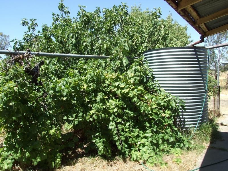 Springhurst VIC 3682