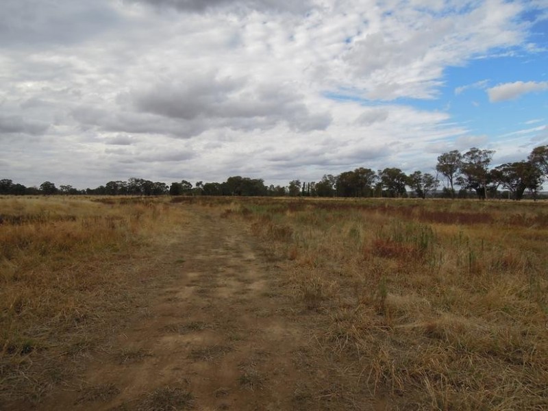 Londrigan VIC 3678
