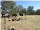 Glenrowan VIC 3675