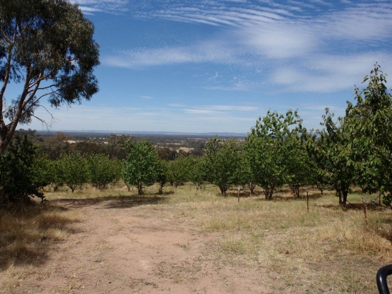 86 Moyhu-Glenrowan Road, Glenrowan VIC 3675