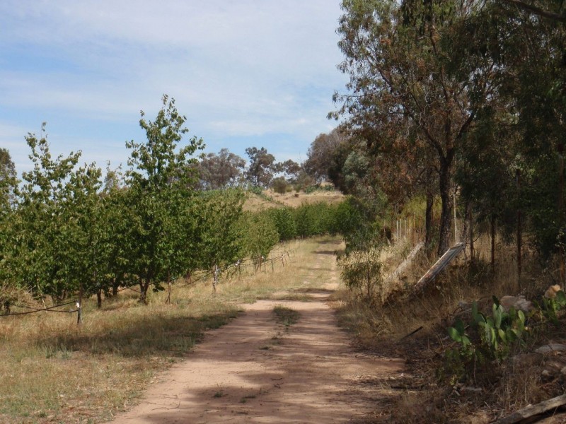 86 Moyhu-Glenrowan Road, Glenrowan VIC 3675