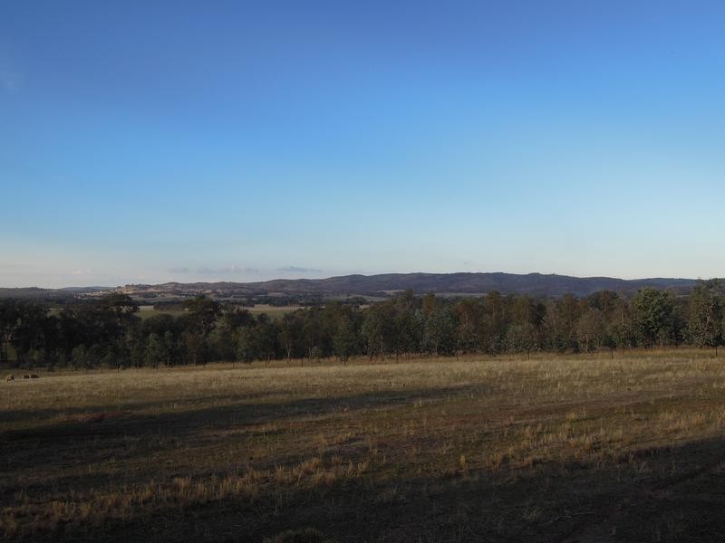 Everton Upper VIC 3678