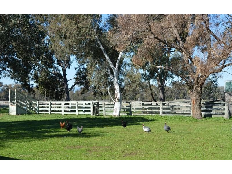 Wangaratta South VIC 3678