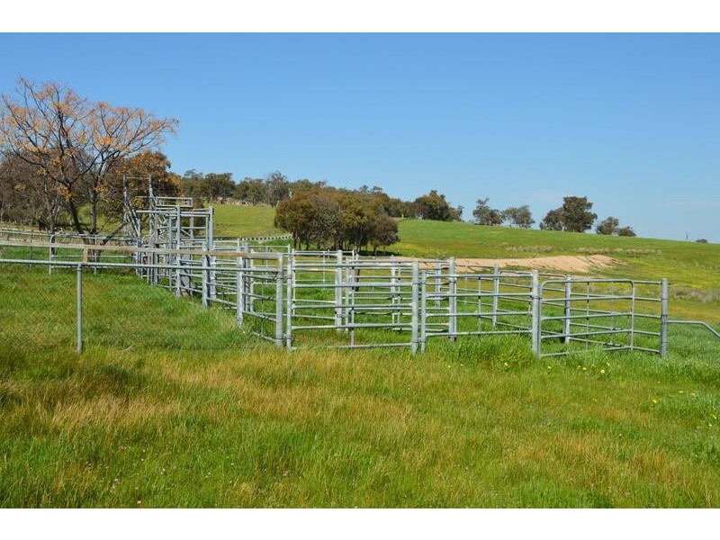 Springhurst VIC 3682