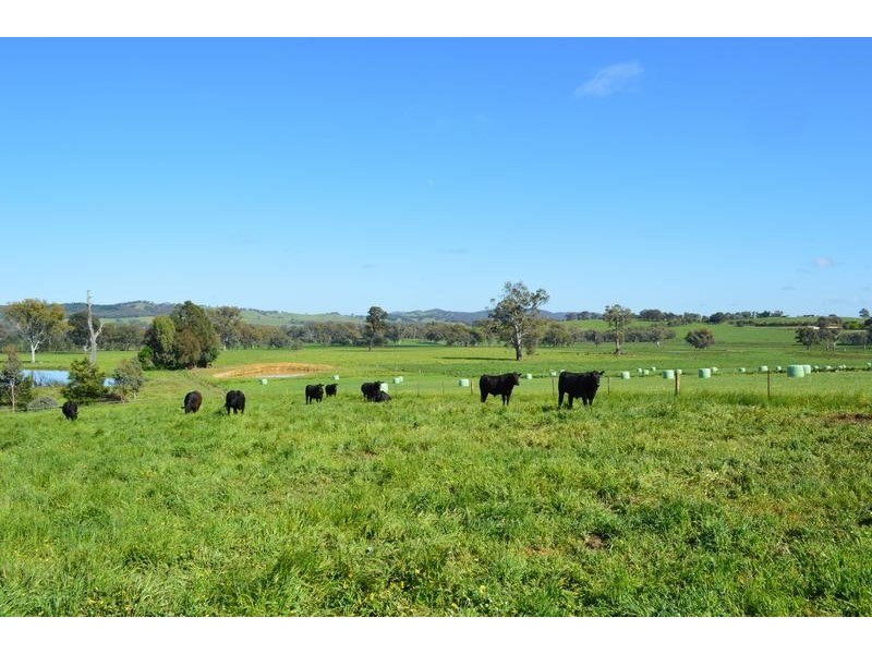 Greta South VIC 3675