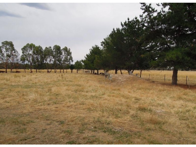 Tarrawingee VIC 3678