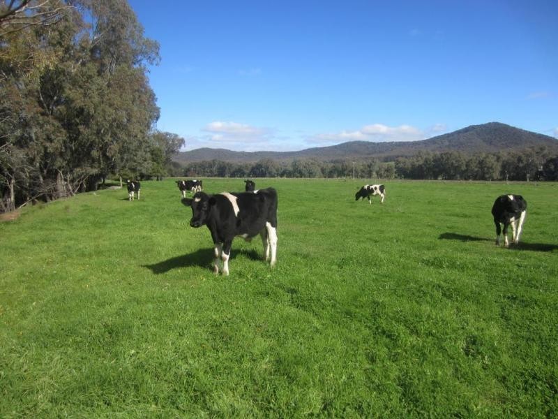 Greta South VIC 3675
