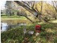 Greta South VIC 3675