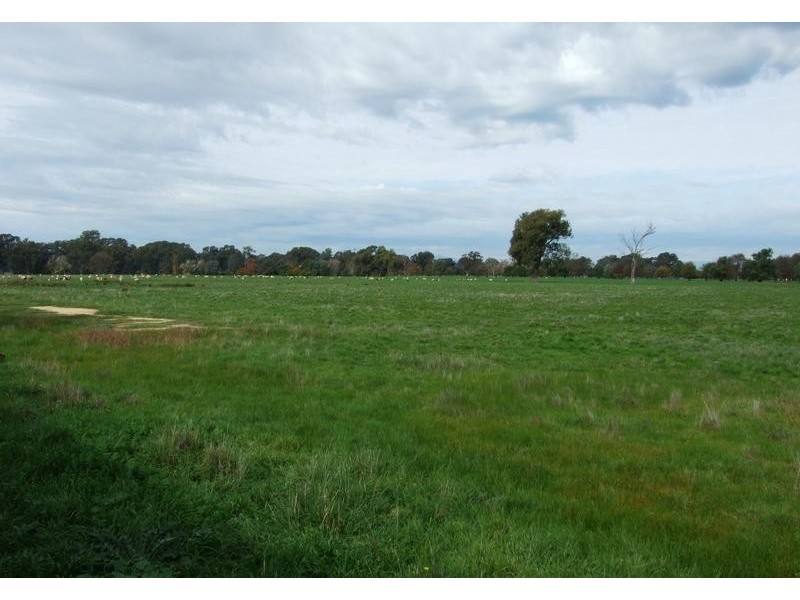 Wangaratta VIC 3677