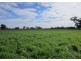 Springhurst VIC 3682