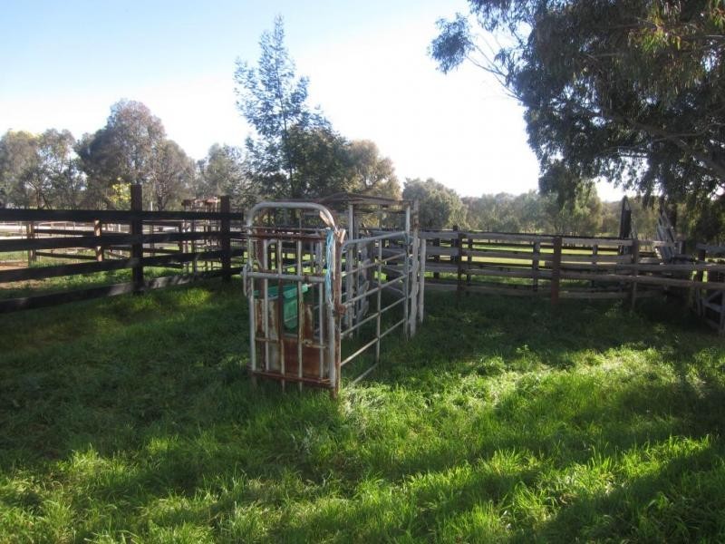 Everton Upper VIC 3678