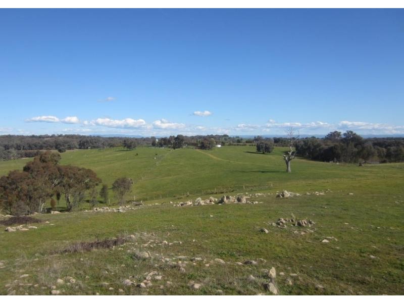 Everton Upper VIC 3678