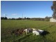 3456 Wangaratta Yarrawonga Road, Bundalong South VIC 3730
