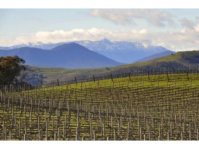 469 Bella Vista Road, Myrrhee VIC 3732