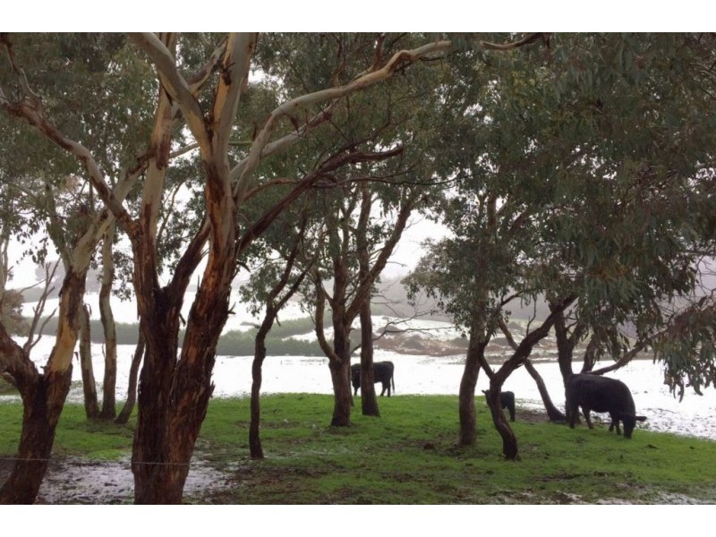 469 Bella Vista Road, Myrrhee VIC 3732