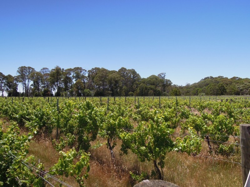 4830 Mansfield Whitfield Road, Whitlands VIC 3678