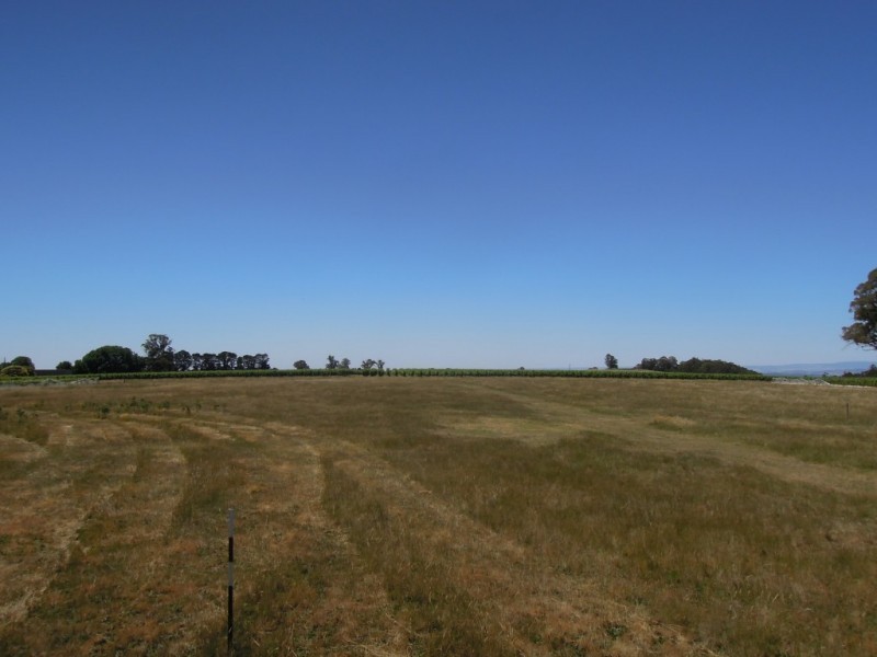 4830 Mansfield Whitfield Road, Whitlands VIC 3678