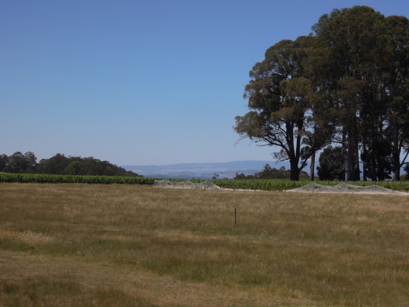 4830 Mansfield Whitfield Road, Whitlands VIC 3678