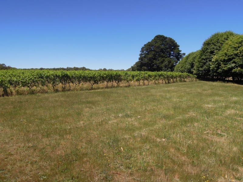 10 Bourchier Lane, Whitlands VIC 3678