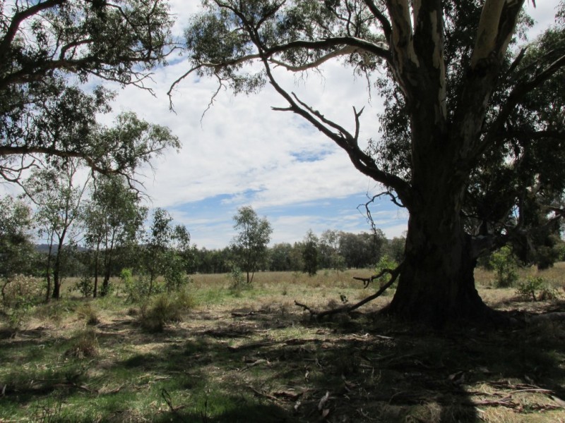 45 Yarrahill Court, Wangaratta South VIC 3678