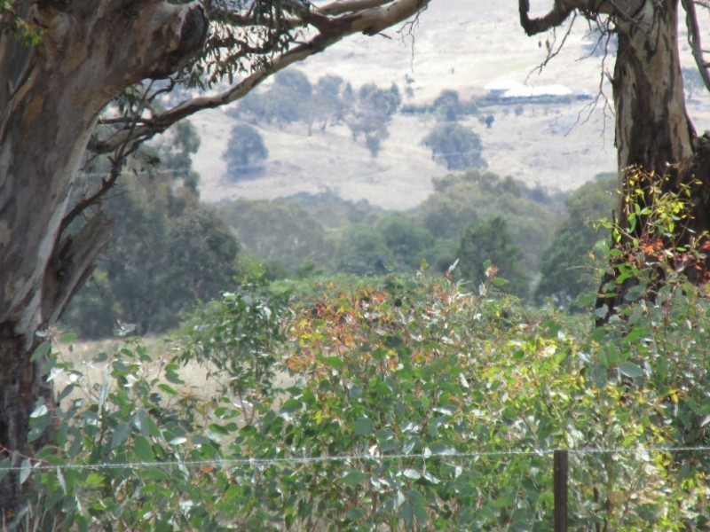 45 Yarrahill Court, Wangaratta South VIC 3678