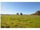 1725 Great Alpine Road, Everton VIC 3678