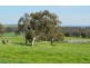 Gayfer Road, Springhurst VIC 3682