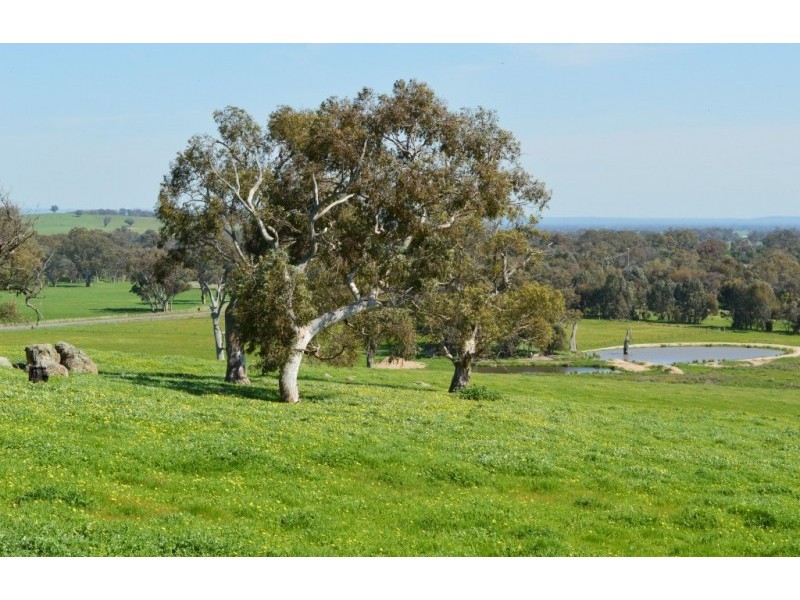 Gayfer Road, Springhurst VIC 3682