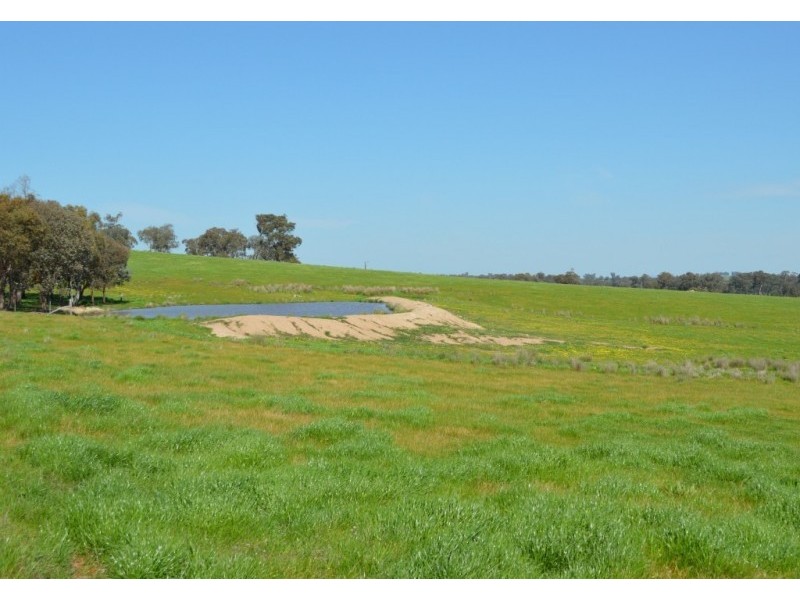 Gayfer Road, Springhurst VIC 3682