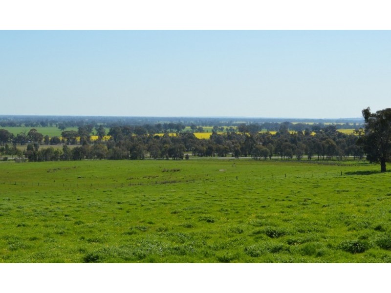 Gayfer Road, Springhurst VIC 3682