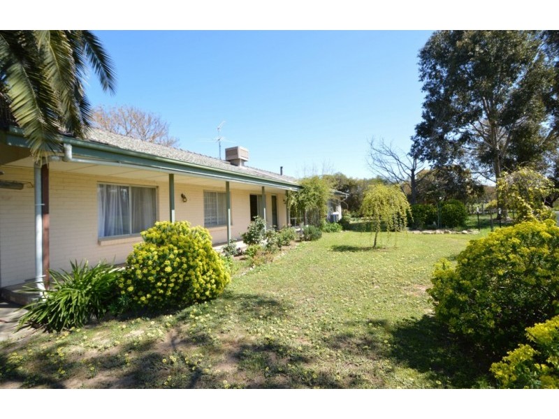 1050 Great Alpine Road, Tarrawingee VIC 3678