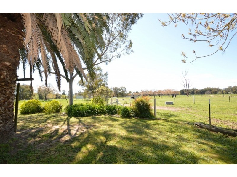 1050 Great Alpine Road, Tarrawingee VIC 3678