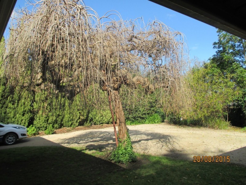 34 Vernon Road, Wangaratta VIC 3677