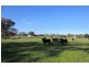 1051 Warby Range Road, Wangaratta South VIC 3678